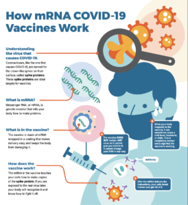 How mRNA COVID-19 vaccines work infographic