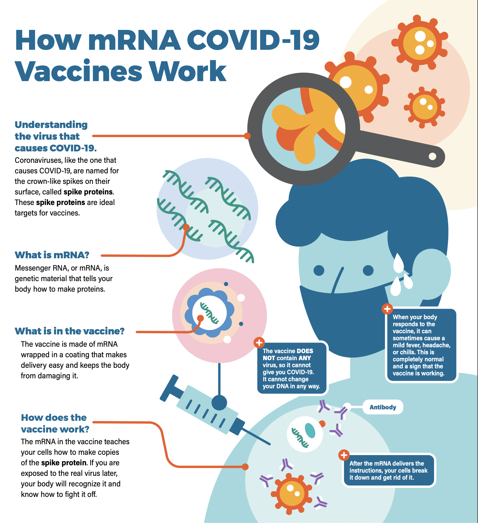 How mRNA COVID-19 vaccines work