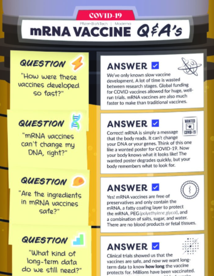 mRNA Covid-19 vaccine FAQs in multiple languages