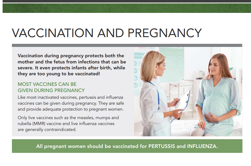 Vaccination and Pregnancy fact sheet