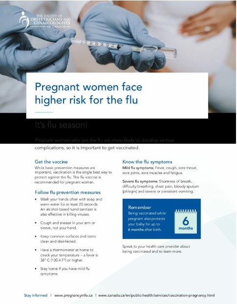 Pregnant Women Flu Poster
